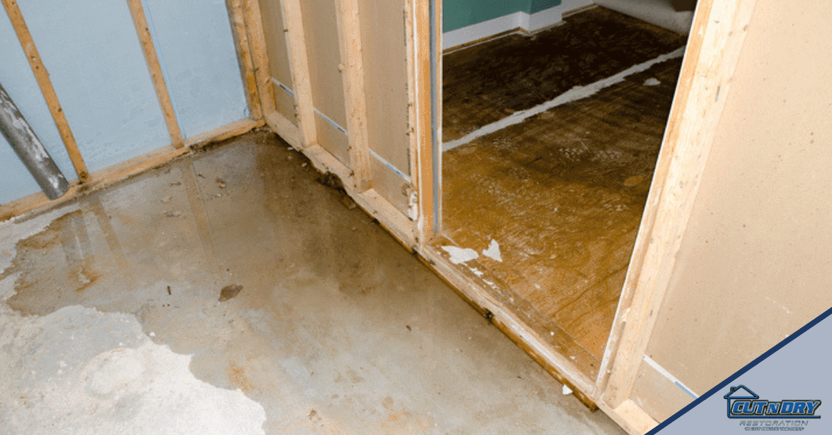 Biggest Problems Caused by Water Damage